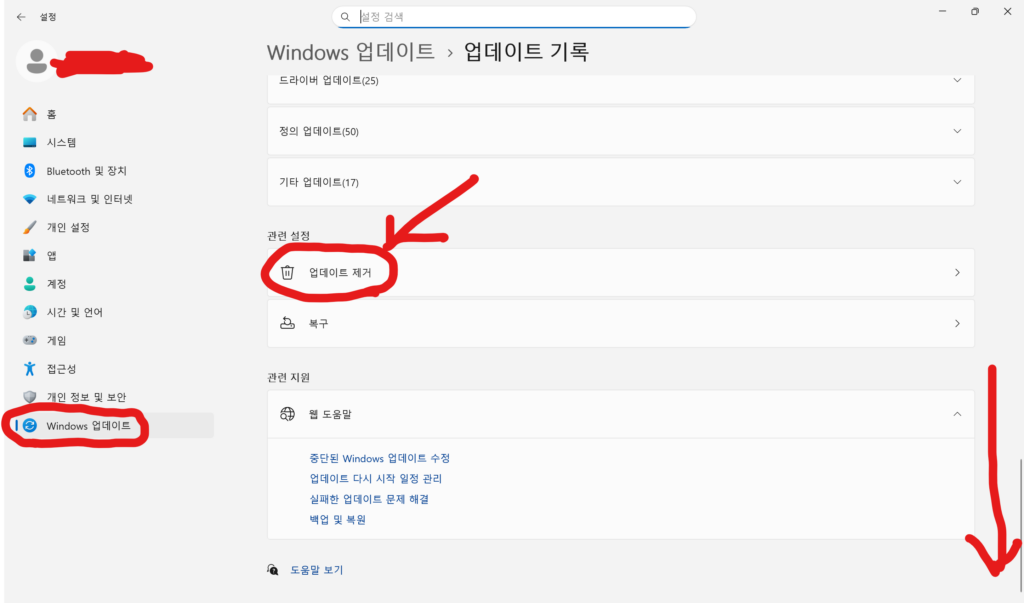 업데이트 제거1